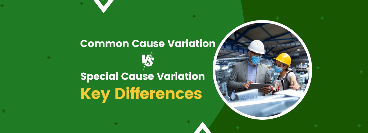 Common Cause Variation vs. Special Cause Variation Key Differences