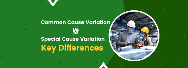 Common Cause Variation vs. Special Cause Variation: Key Differences