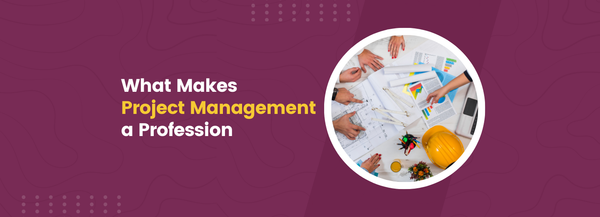Professions Project Project Management & MindCypress