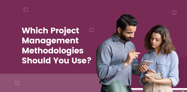 Which Project Management Methodologies Should You USE?