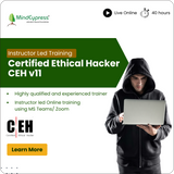 Certified Ethical Hacker V11 Certification Instructor Led Online Training