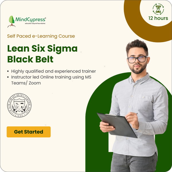 Lean Six Sigma Black Belt Self Paced e-Learning Course