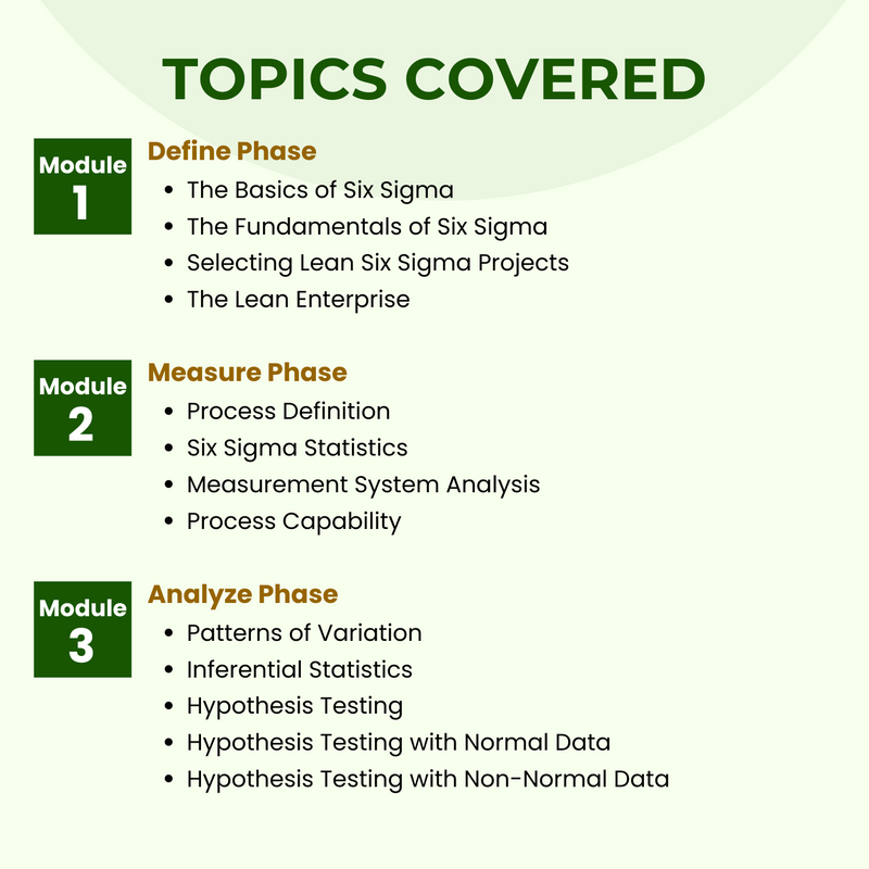 Lean Six Sigma Black Belt Self Paced e Learning Course MindCypress