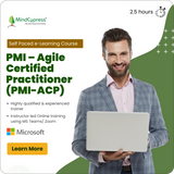 PMI – Agile Certified Practitioner (PMI-ACP) Self Paced eLearning Course