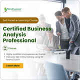 CBAP Self Paced eLearning Course